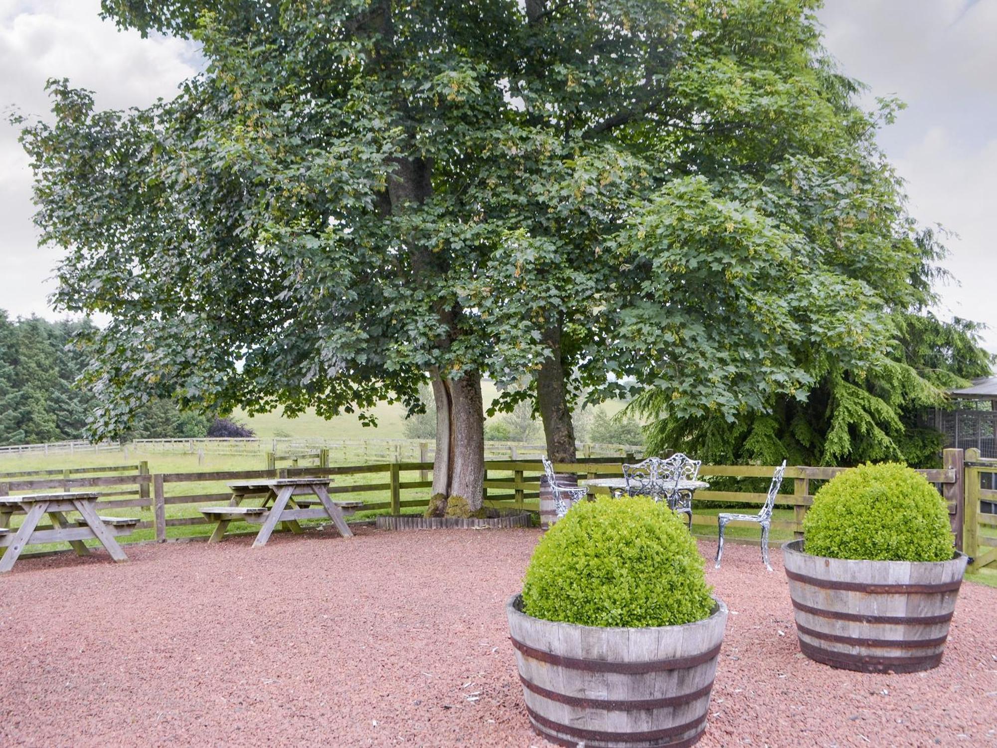 Broomstick Cottage Elsdon Buitenkant foto
